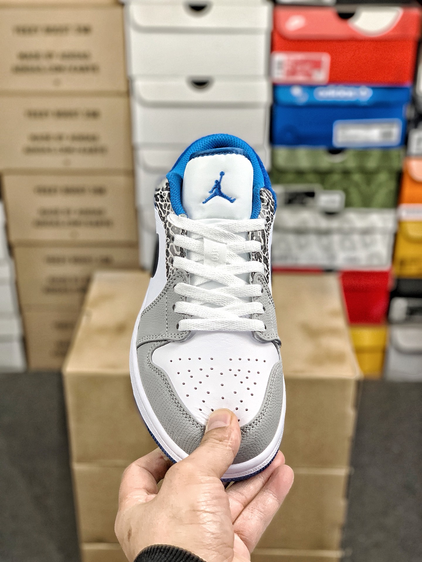Nike Jordan shoe